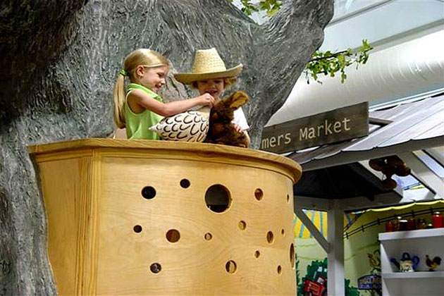 Discovery Center at Murfree Spring - Treehouse