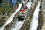 Dollywood