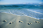 Luxurious Beaches