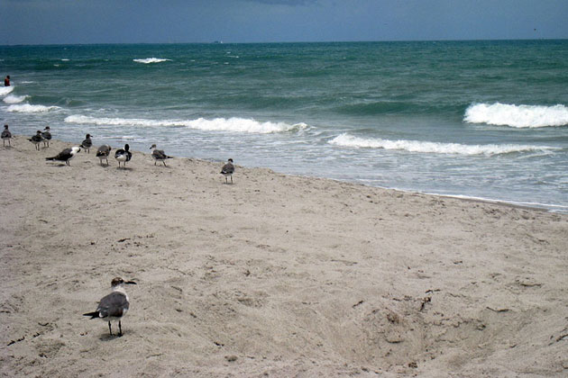 Soft Sands