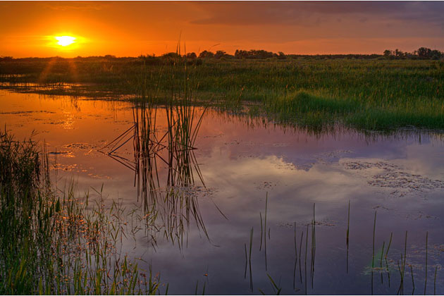 Everglades National Park