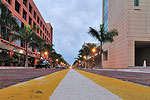 Palm-Lined Streets