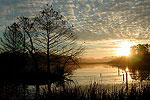 Heart of Florida
