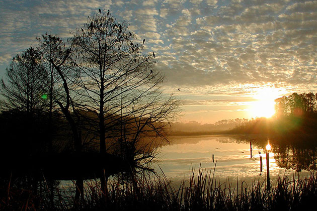 Heart of Florida