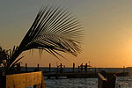 Island Paradise