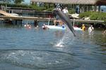 Dolphin Research Center