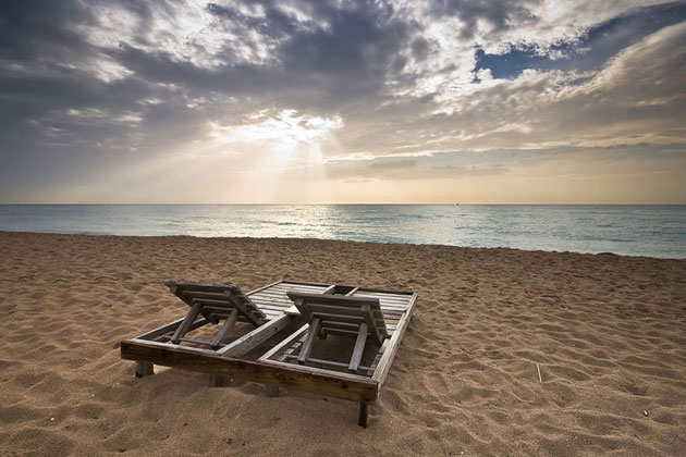 Paradise Found