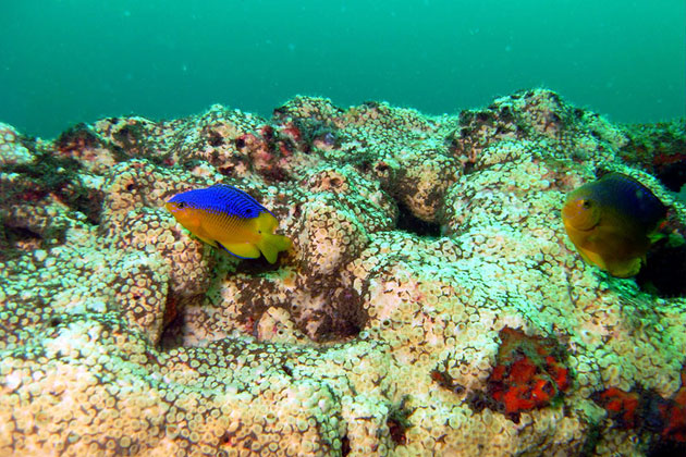 Underwater World