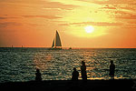 Sparkling Waters