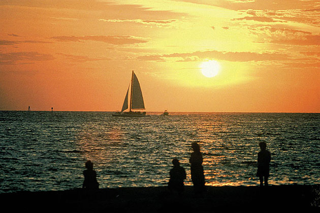 Sparkling Waters