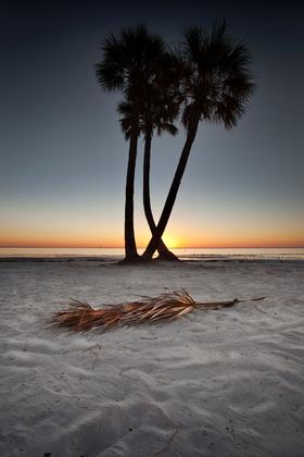 Triple Palm Sunrise