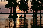 Southern Flair