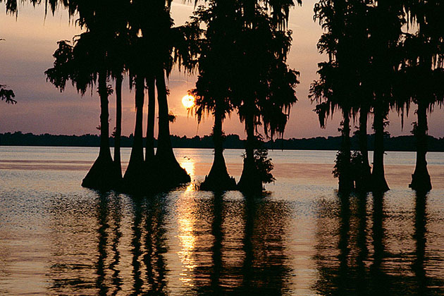 Southern Flair