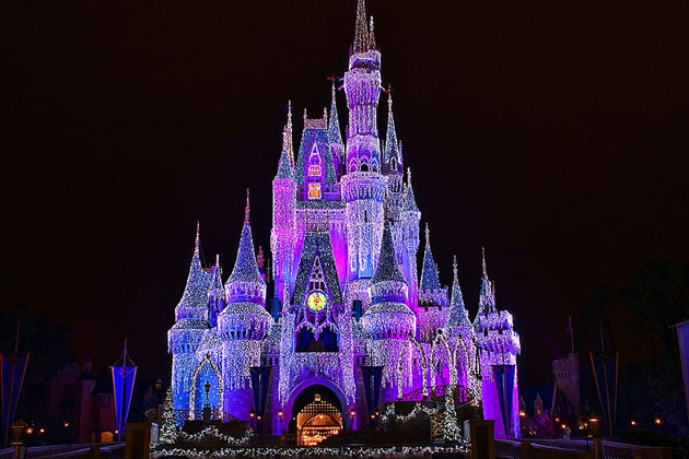 Disney World Castle