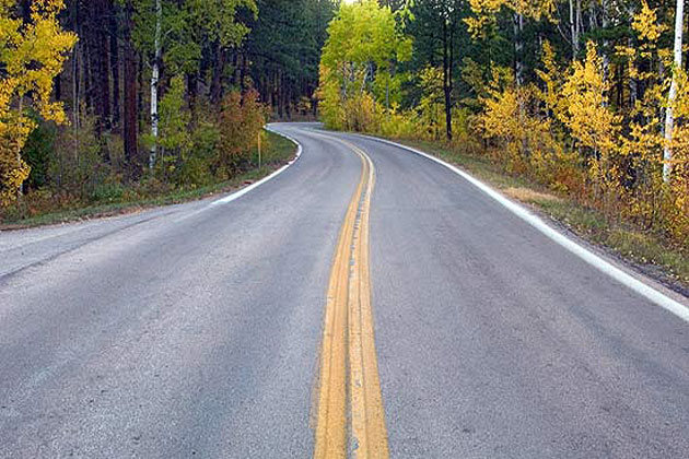 Fall - Black Hills