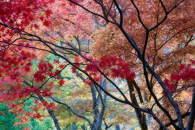 Fall