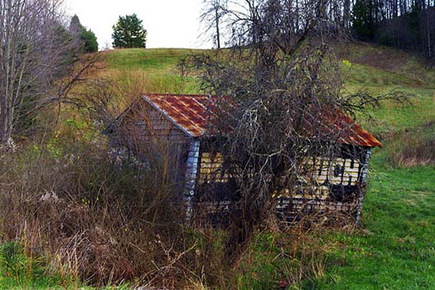 Mail Pouch Barns