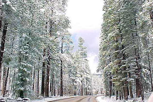 Snowy Highway