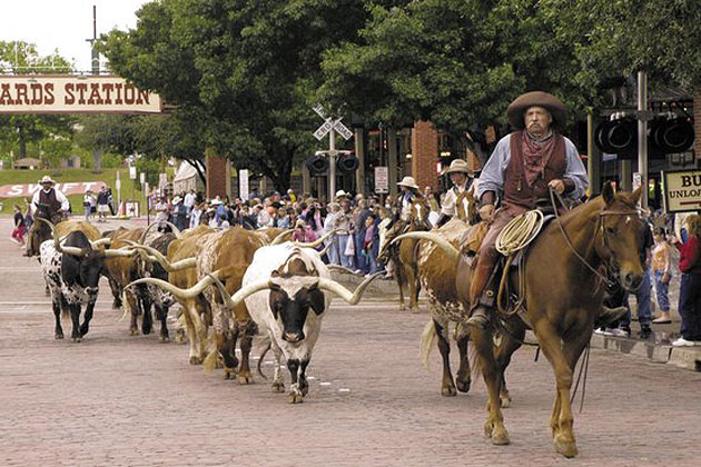 Fort Worth Herd