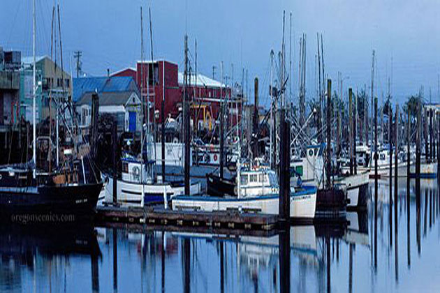 Garibaldi