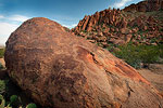 Grapevine Hills Big Bend