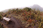 Maui Wilderness