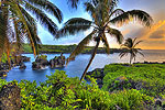 Hidden Paradise
