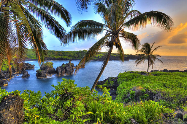 Hidden Paradise