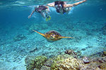 Underwater Attractions