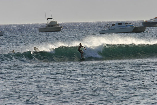 Surfer's Haven