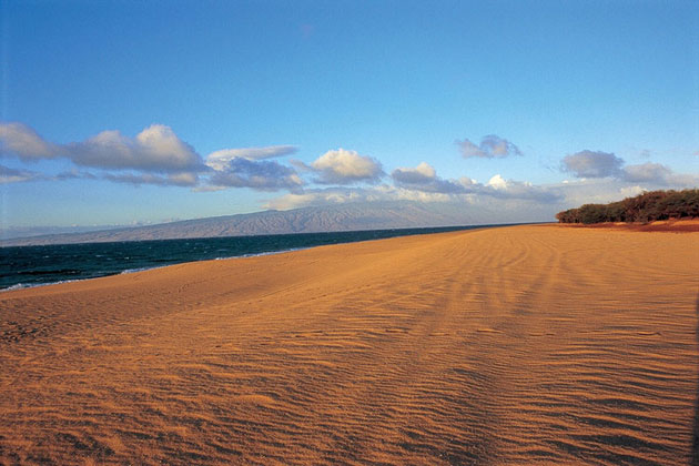 Soft Sandy Beaches