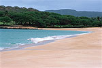 Sandy Beaches