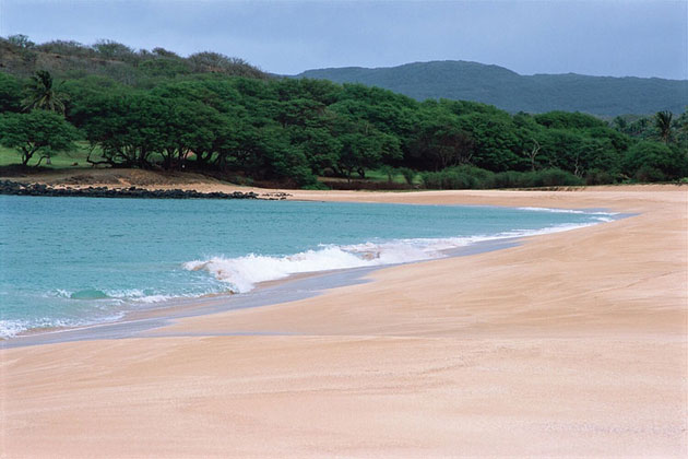 Sandy Beaches