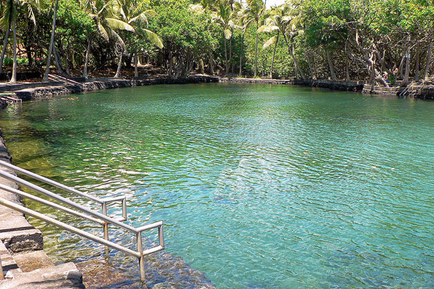 Rejuvenating Springs