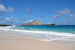 Beach Paradise