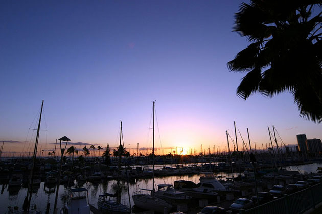Palm Tree Sunset