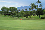 Golf in Paradise