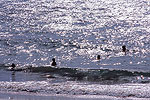Ocean Swim