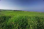 Beautiful Countryside