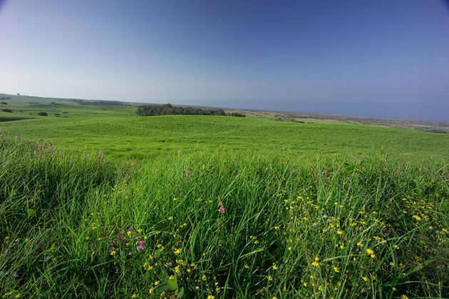Beautiful Countryside