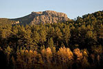Harney Peak
