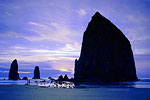 Haystack Rock