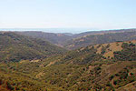 Henry W Coe State Park