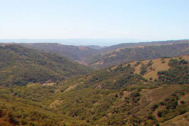 Henry W Coe State Park