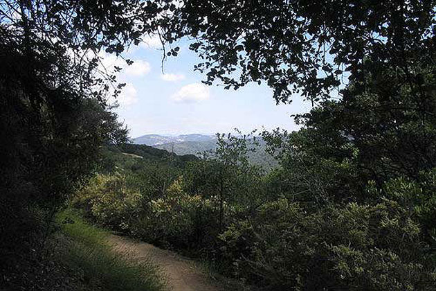 Henry W Coe State Park