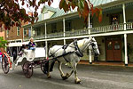 Horse Buggy