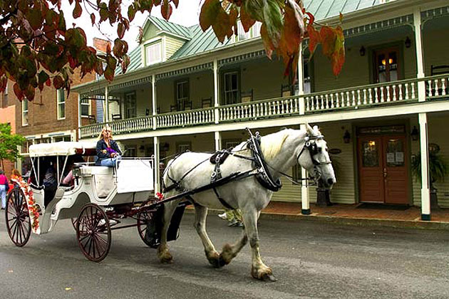Horse Buggy