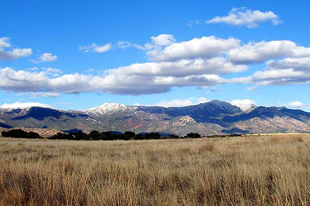 Huachuca Mountains