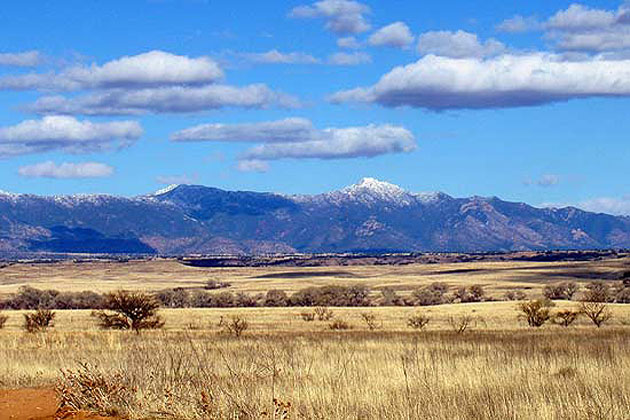 Huachuca Mountains