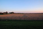 Central Illinois Farm